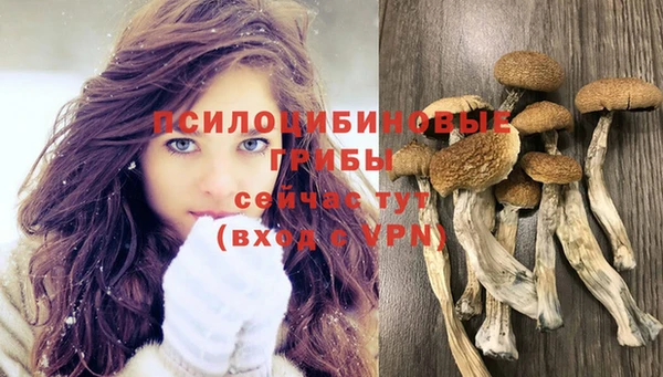 скорость Арсеньев